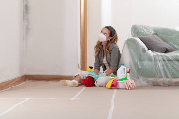 Reliable Commercial Mold Remediation contractor in Westchester, IL by WQB Mold Removal